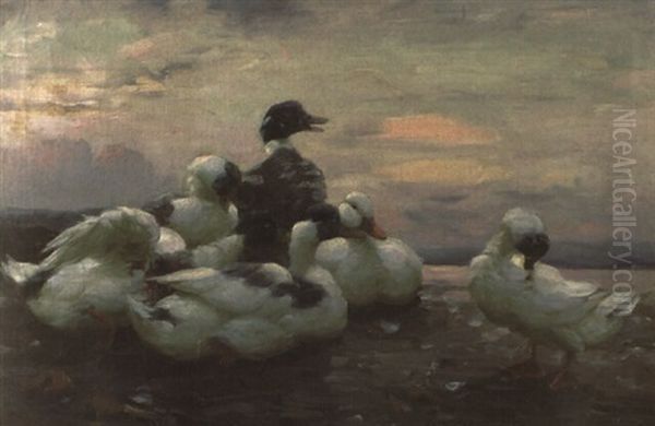 Enten Am Seeufer In Der Winterlichen Abendsonne - view 1