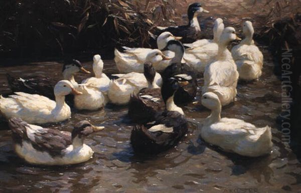 Vierzehn Enten Im Wasser - view 1