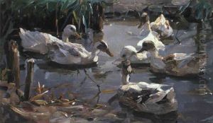 Sieben Enten Auf Schilfbestandenem Gew,sser by Alexander Max Koester