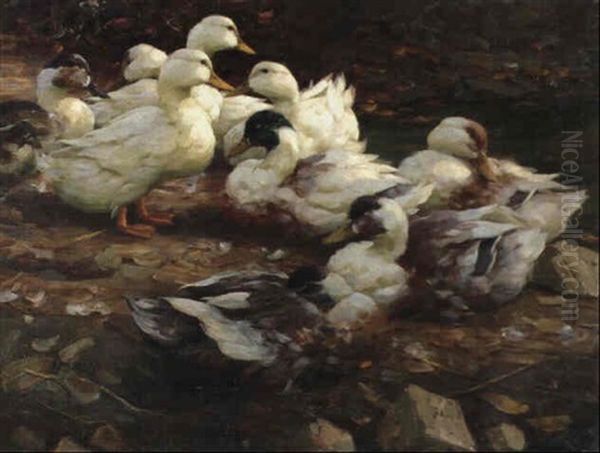Neun Ruhende Enten - view 1