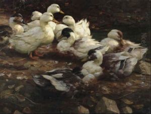 Neun Ruhende Enten
