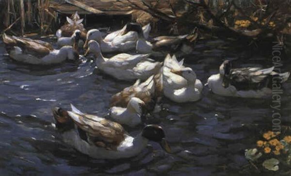 Zehn Enten Im Schilf - view 1