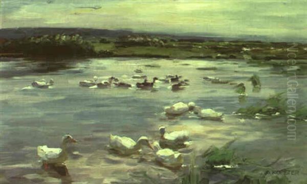 Enten Im See - view 1