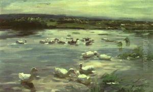 Enten Im See Enten Im See