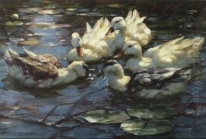 F_nf Enten