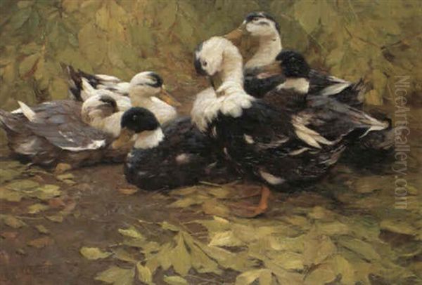 Sechs Enten Im Herbstlaub - view 1
