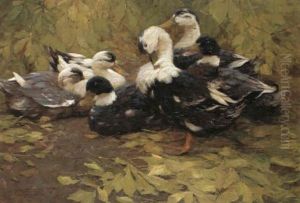 Sechs Enten Im Herbstlaub
