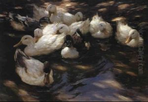 Enten In Morgenssonne by Alexander Max Koester