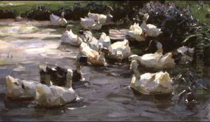 Entengruppe Im Wasser by Alexander Max Koester