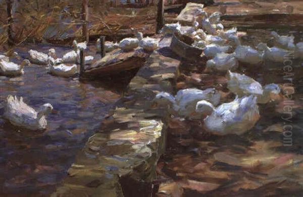Enten An Sperrmauer - view 1