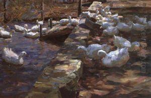 Enten An Sperrmauer