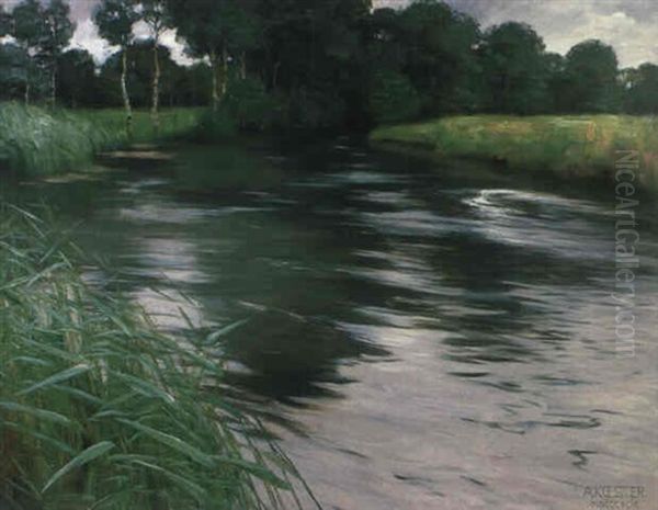 Altwasser. Sanft Sich Biegender Flusslauf, An Dessen Ufer   Sich Ein Schilfgurtel Ausbreitet... - view 1