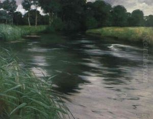 Altwasser. Sanft Sich Biegender Flusslauf, An Dessen Ufer   Sich Ein Schilfgurtel Ausbreitet...