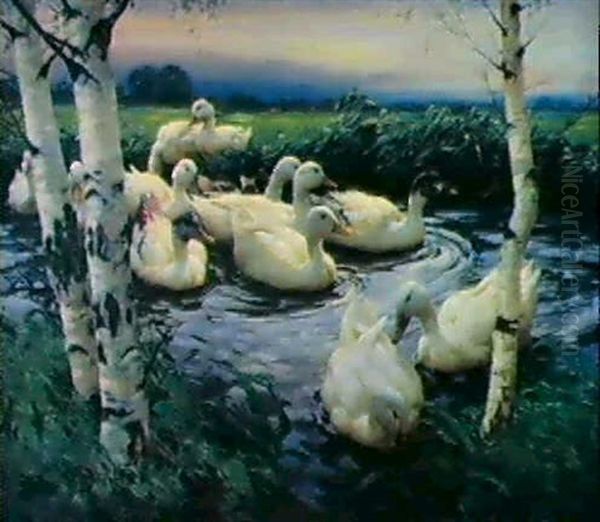 Dreizehn Enten Im Teich Unter Birken - view 1