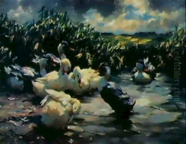 Sieben Enten Im Schilfwasser - view 1