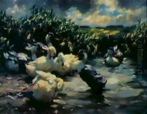 Sieben Enten Im Schilfwasser
