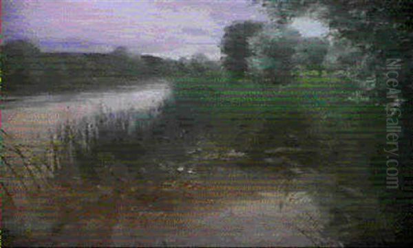 Uferpartie Mit Schilf Und Seerosen - view 1