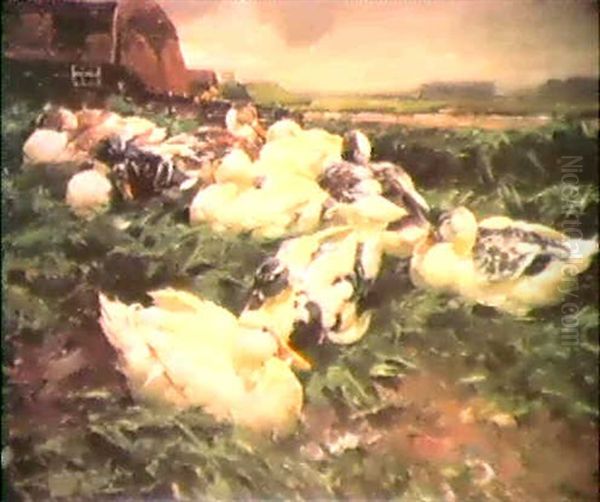Enten Auf Einem Feld - view 1