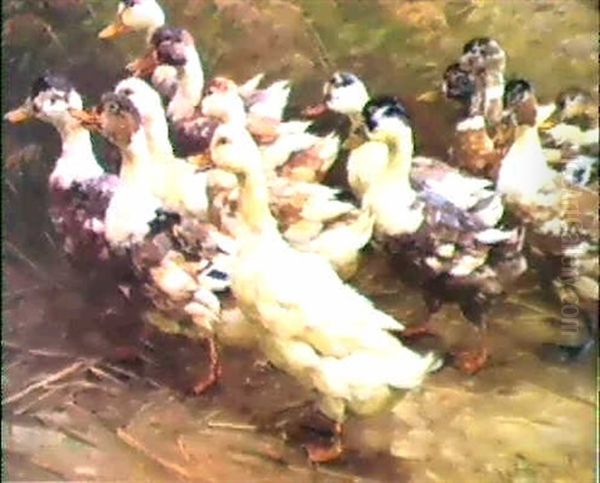 Enten Gehen - view 1