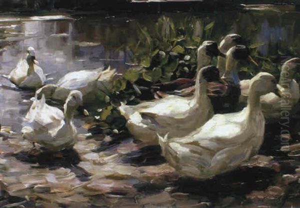 Enten Auf Dem Heimweg - view 1
