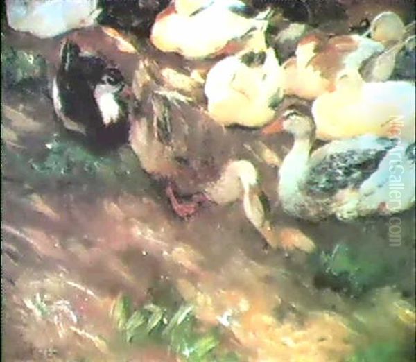 Enten Am Teichabhang - view 1