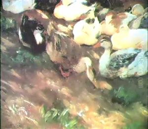 Enten Am Teichabhang