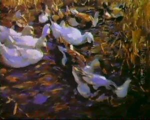 Enten Im Herbstschilfwasser Enten Im Herbstschilfwasser