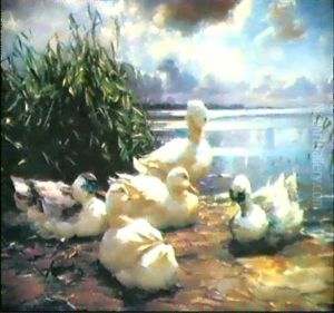 Funf Enten Am Seeufer by Alexander Max Koester