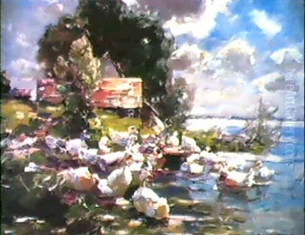Enten Auf Dem See Nahe Dem Ufer - view 1