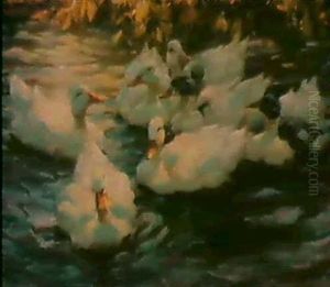 Funf Enten Am Seeufer by Alexander Max Koester