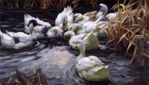 Entenschwarm Mit 8 Enten Am Herbstlichen Teichufer Vor Dem Schilfgurtel Entenschwarm Mit 8 Enten Am Herbstlichen Teichufer Vor Dem Schilfgurtel