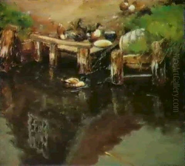 Enten Am Ufer - view 1