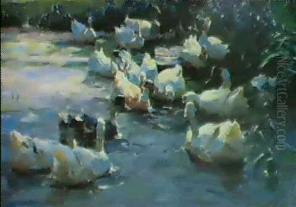 Sechzehn Enten Im Schifwasser - view 1