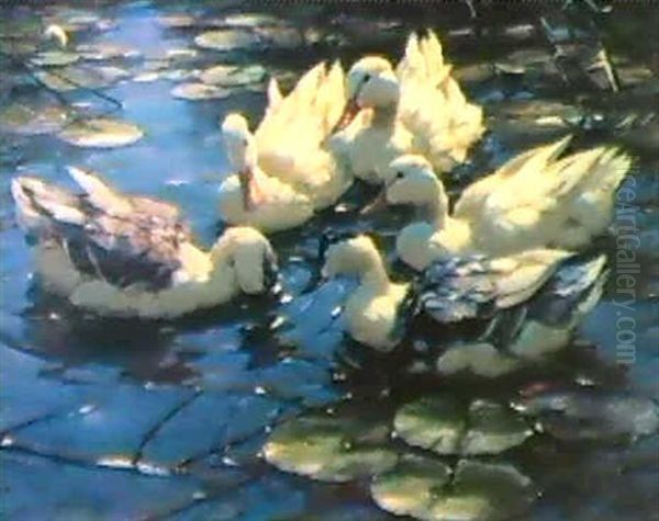 Funf Enten Im Seerosenteich - view 1