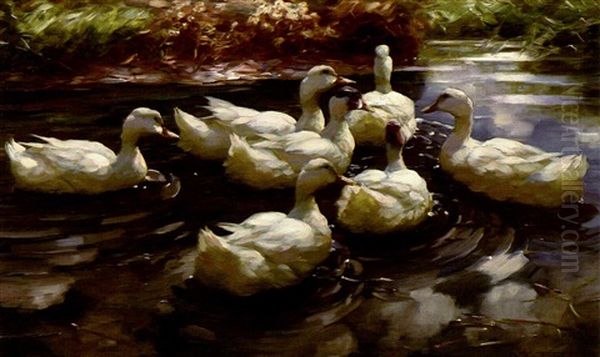 Sieben Enten Im Wasser - view 1