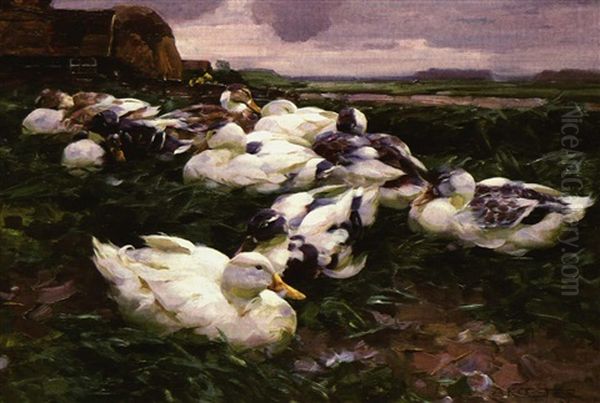 "enten Auf Dem Feld" - view 1