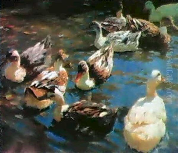 Neun Enten Auf Einem Teich - view 1