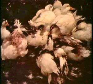 Enten Am Wasser