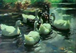 Sieben Enten Im Teich Sieben Enten Im Teich
