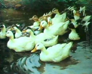 Zwolf Enten Im Teich