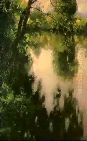 Teich Bei Viktring - view 1