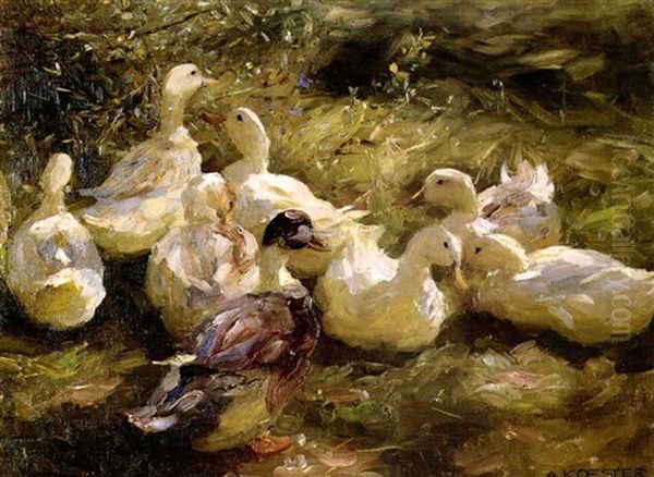 Enten Im Gras-sonn - view 1