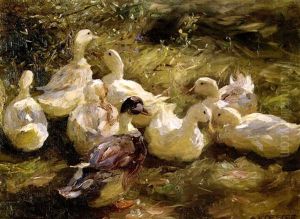 Enten Im Gras-sonn