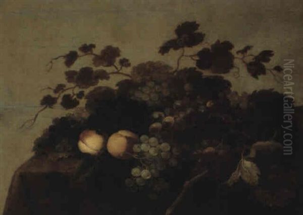 Stilleben Mit Trauben - view 1
