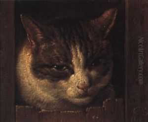 A Cat Peeping Through A Fence by Roelof Koets the Elder