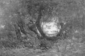 Wald Mit Gelben Iris Und Alten Weiden