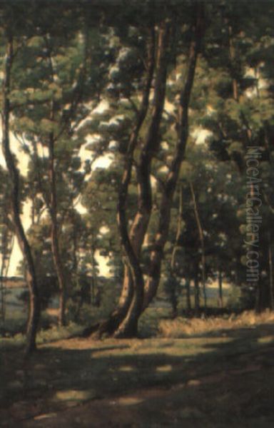 Trois Arbres A L'oree - view 1