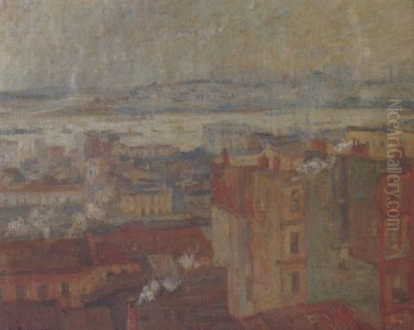 View Of Constantinople From Peran - view 1