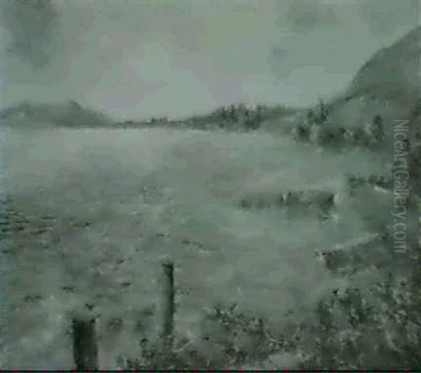 Motiv Aus Ligerz Am Bieler See - view 1