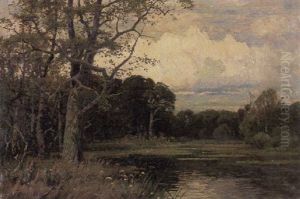 Stiller Waldweiher Mit Seerosen Stiller Waldweiher Mit Seerosen